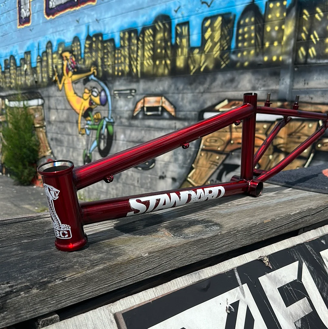 Standard 100R Expert Frame - Image 3