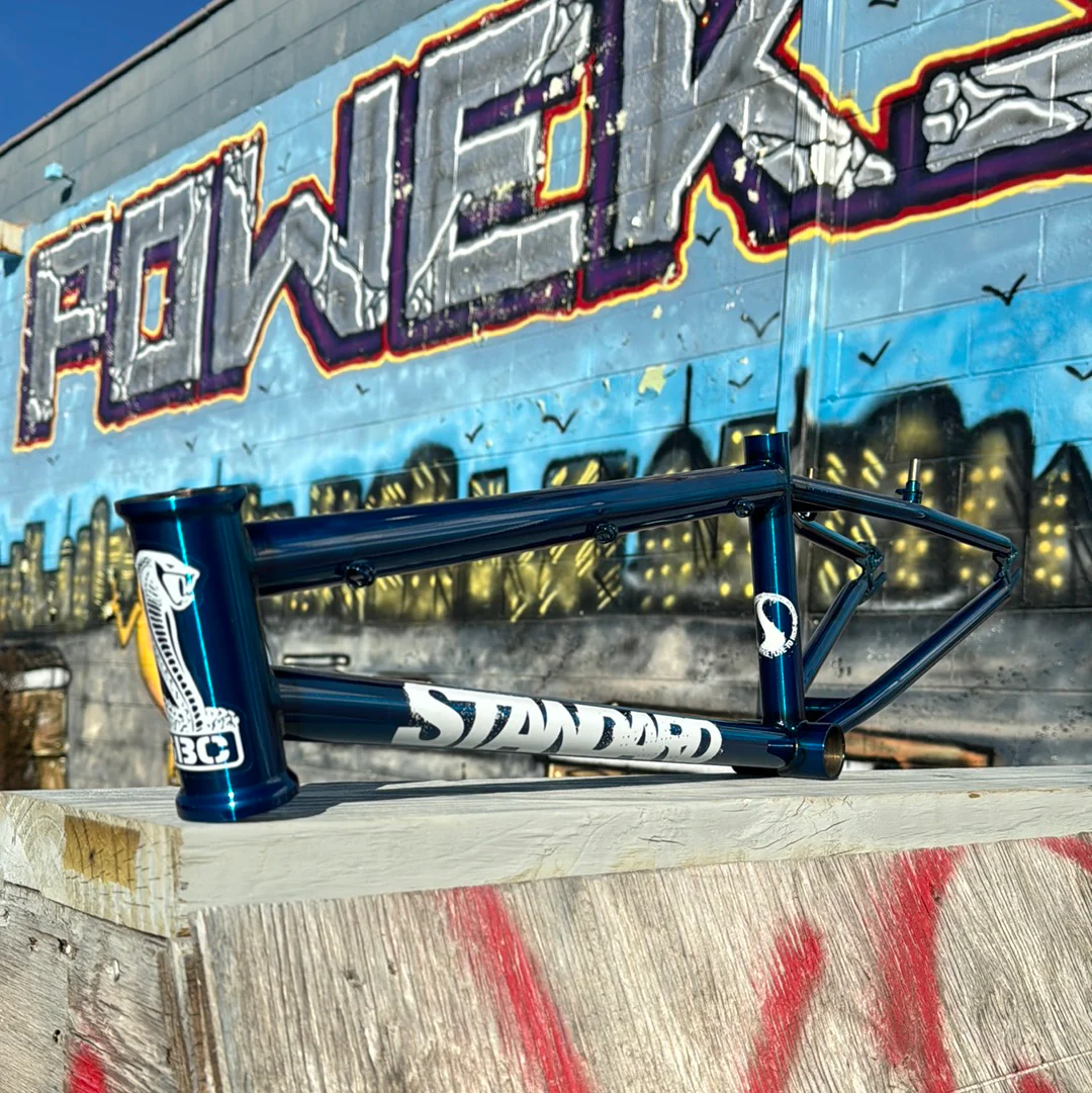 Standard 100R Expert Frame - Image 4