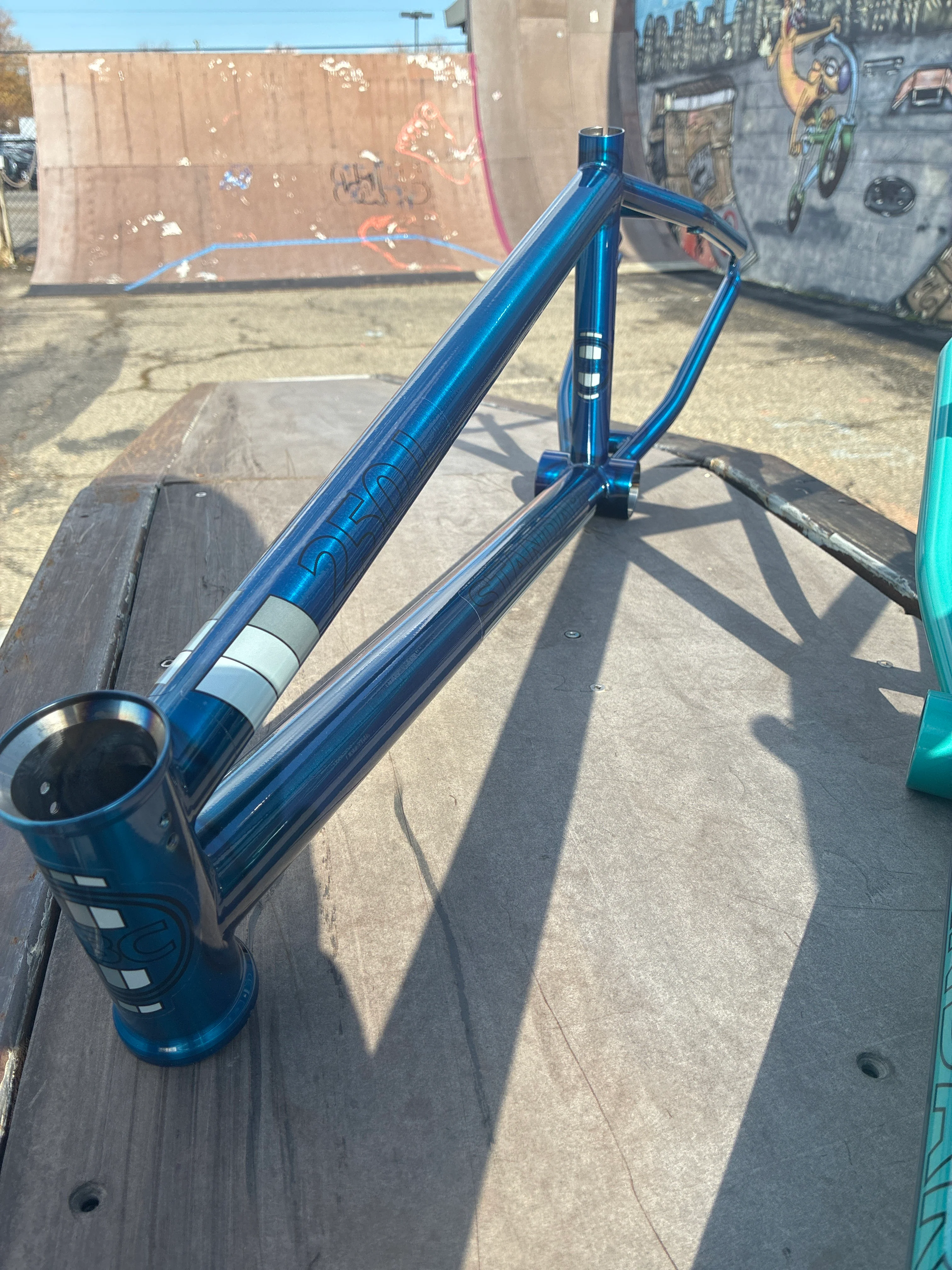 STANDARD BYKE 250L Frame - Image 19