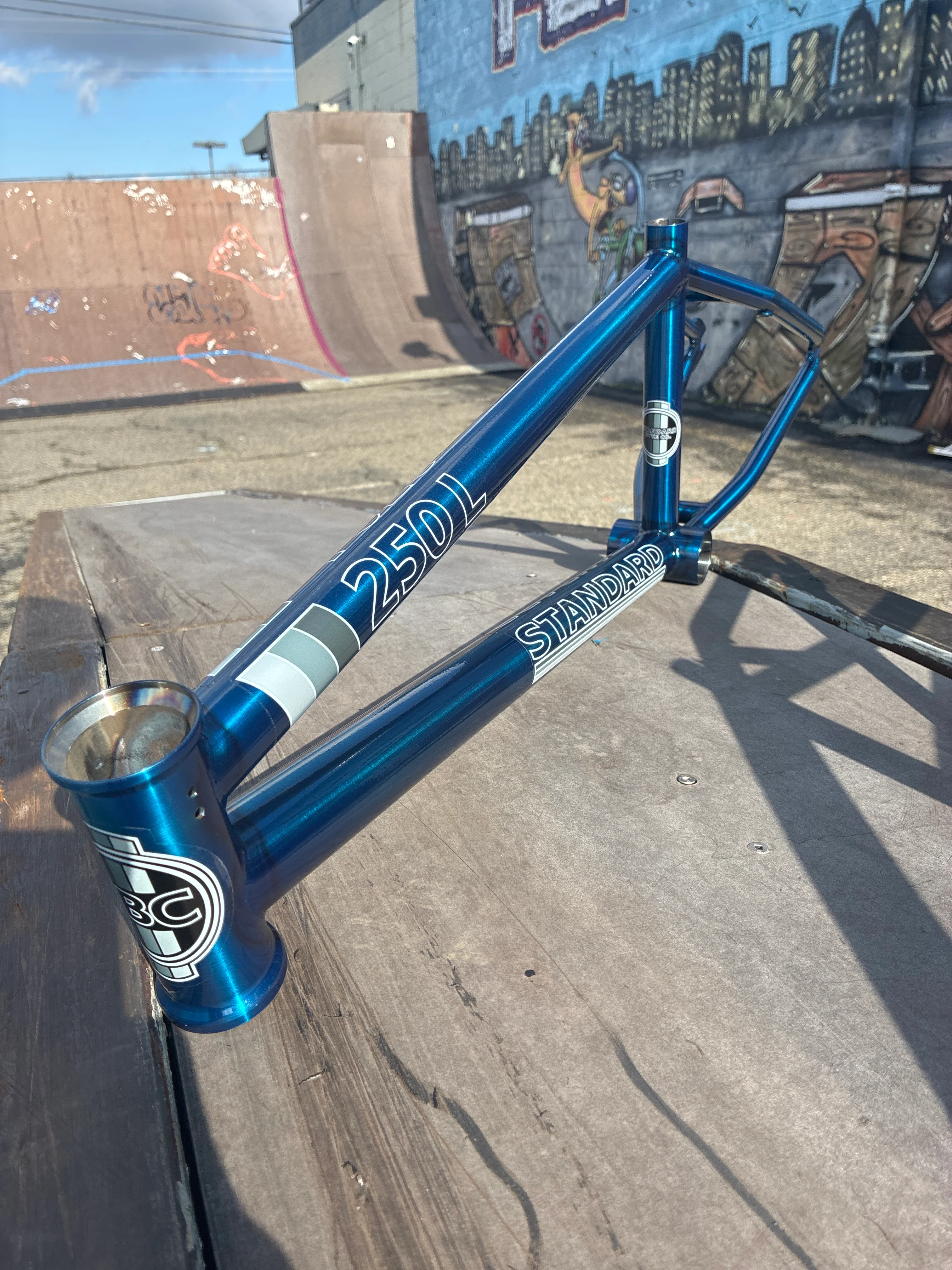 STANDARD BYKE 250L Frame - Image 20