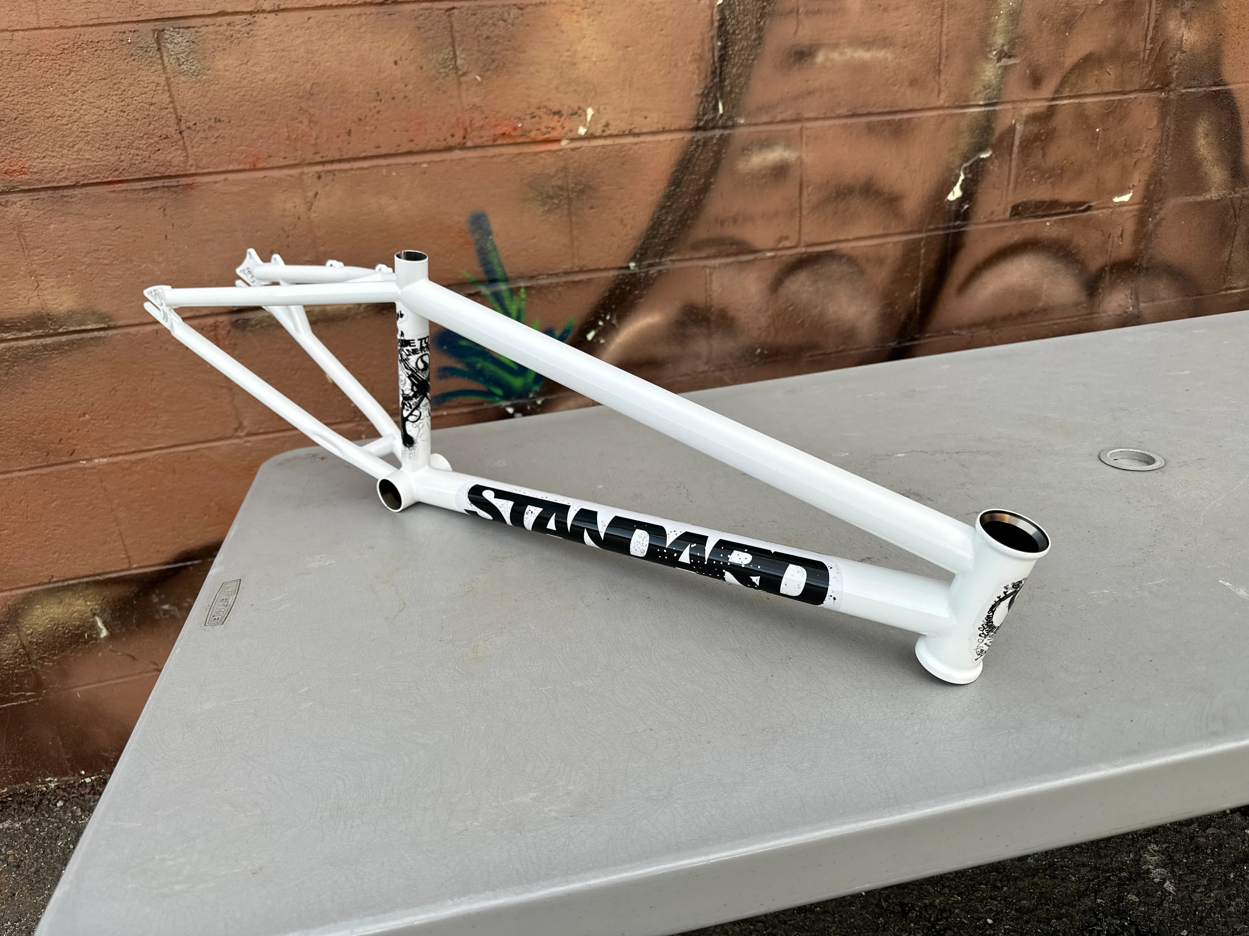 STANDARD BYKE OS20 125R FRAME - Image 12