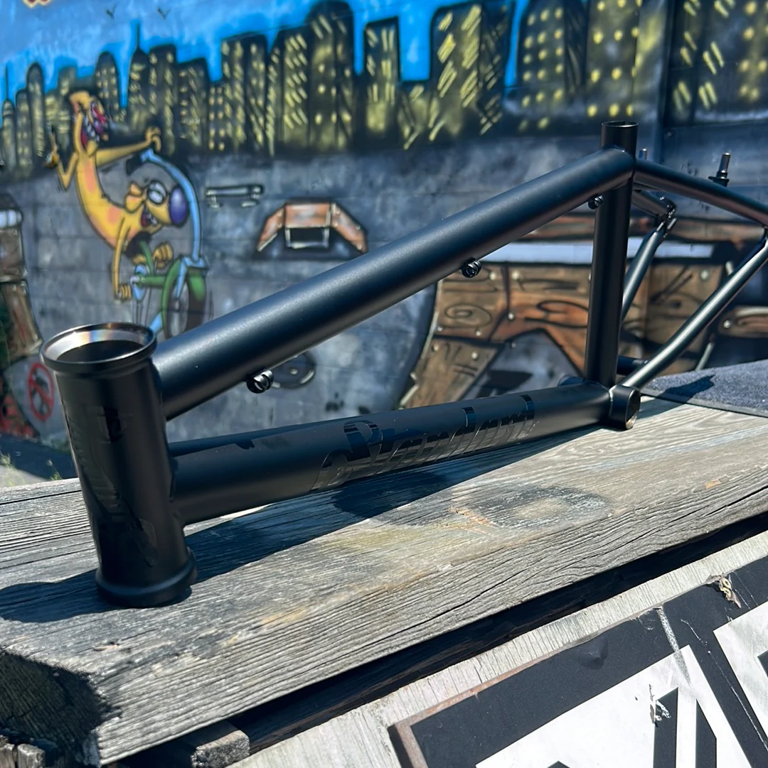 STANDARD BYKE OS20 125R FRAME - Image 14