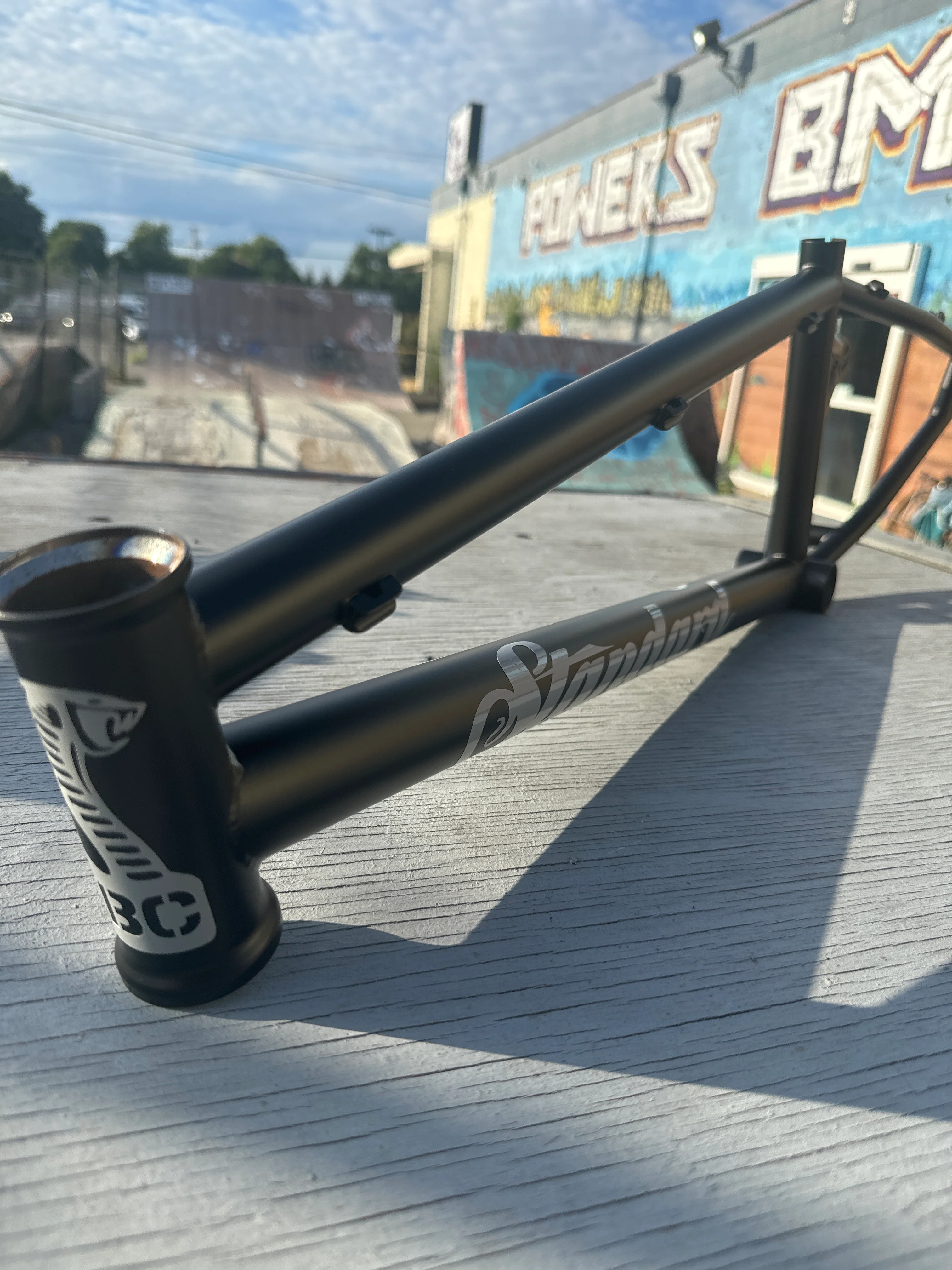 STANDARD BYKE OS20 125R FRAME - Image 19