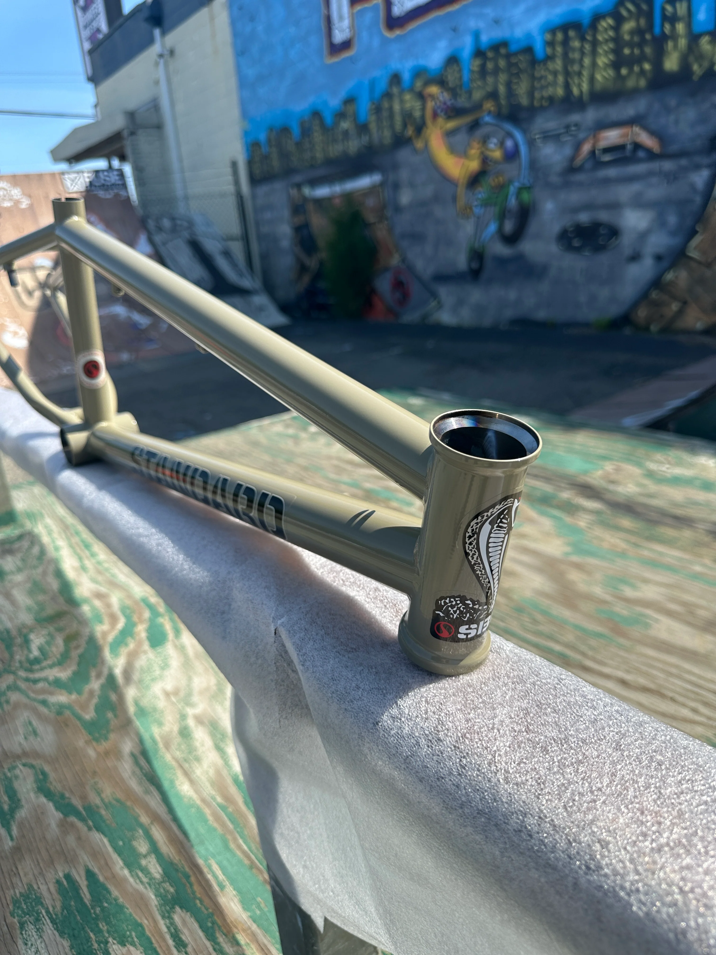 STANDARD BYKE 22" FRAME - Image 11