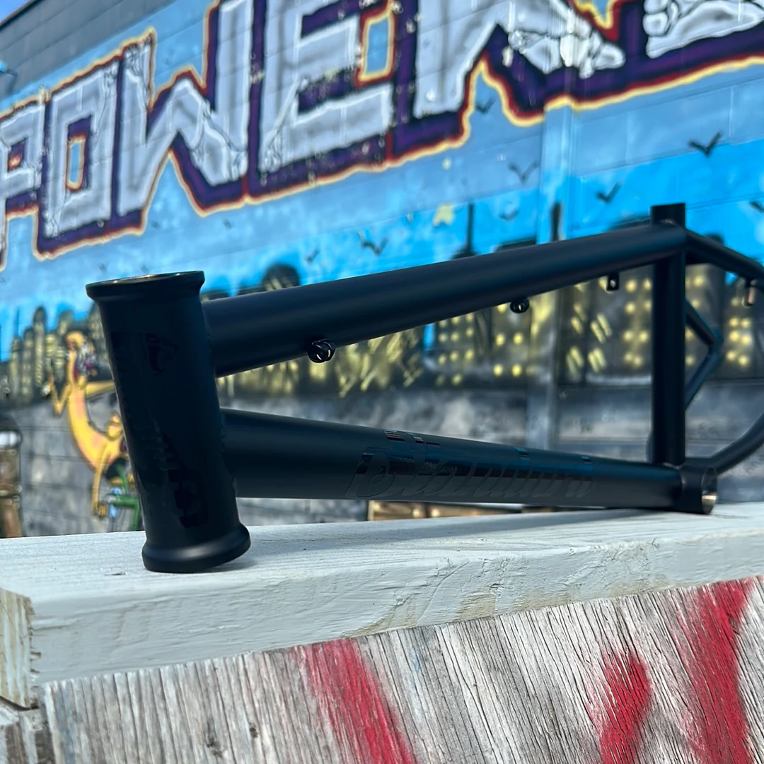 STANDARD BYKE 22" FRAME - Image 17