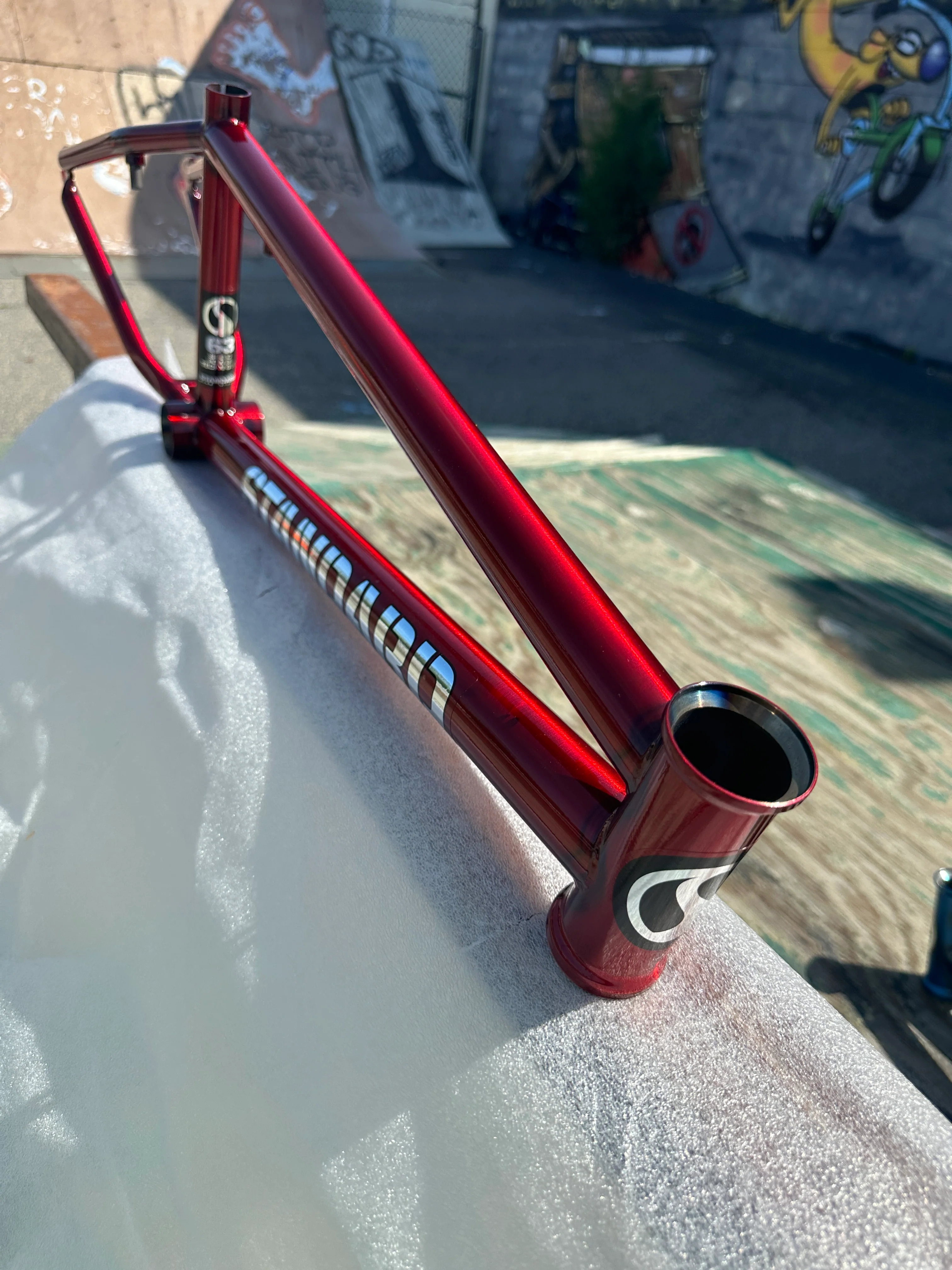 STANDARD BYKE 22" FRAME - Image 9